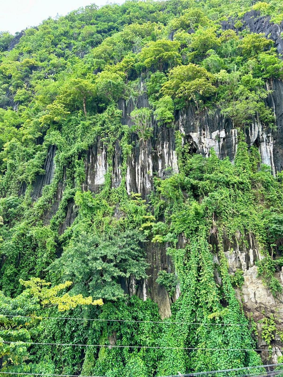 Mayad El Nido Inn ภายนอก รูปภาพ